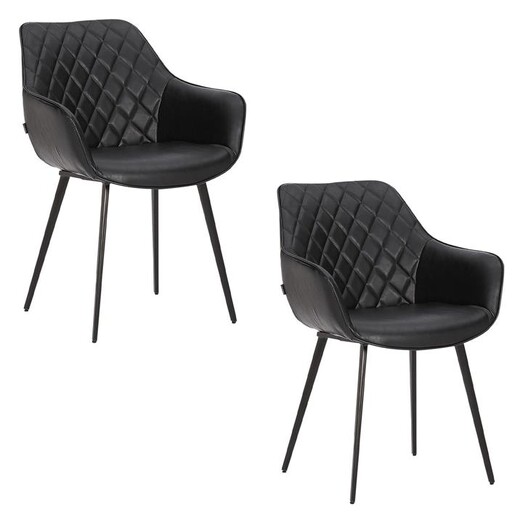 Picture of Aaric Set of 2 Faux Leather Dining Chairs Assorted casabona