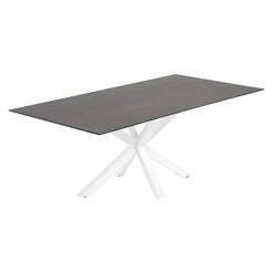 Picture of Alonzo Dining Table, Iron Moss Ceramic/White Steel White/Iron Moss Vida & Co.