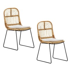 Picture of Astro Dining Chair (Set of 2) in Black by Eastern Warehouse
