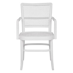 Picture of Botannio Rattan Dining Armchair Mahogany White Dasch Design