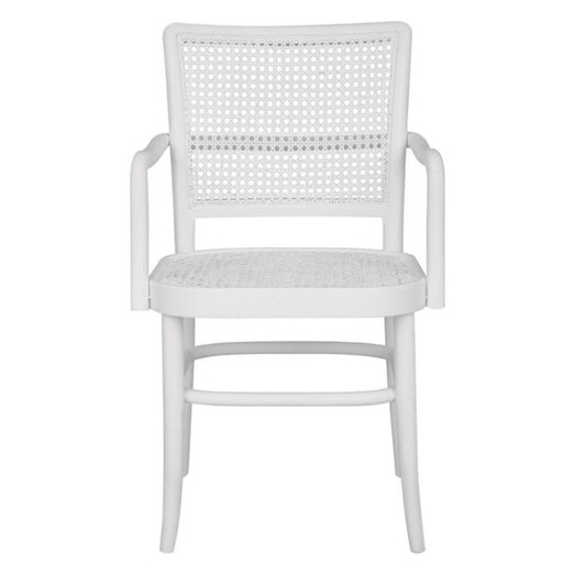 Picture of Botannio Rattan Dining Armchair Mahogany White Dasch Design