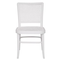 Picture of Botannio Rattan Dining Chair Mahogany White Dasch Design