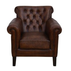 Picture of Carson Leather ArmChair Relaxing Accent Chair