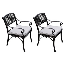 Picture of Cherise Outdoor Aluminium Chair (Set of 2) Bronze/Cream Channel Enterprises