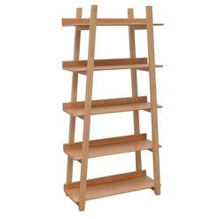 Picture of Delton Ladder Bookshelf in Light Brown by Calibre