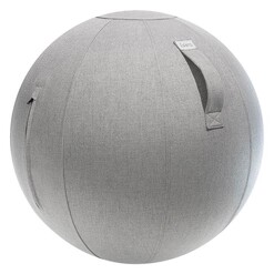 Picture of Esfera Designs Sitting Ball Size 65cm in Light Grey