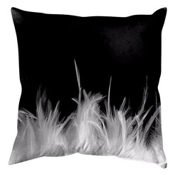 Picture of Feather Strong Cushion Size 45 x 45cm by United Artworks