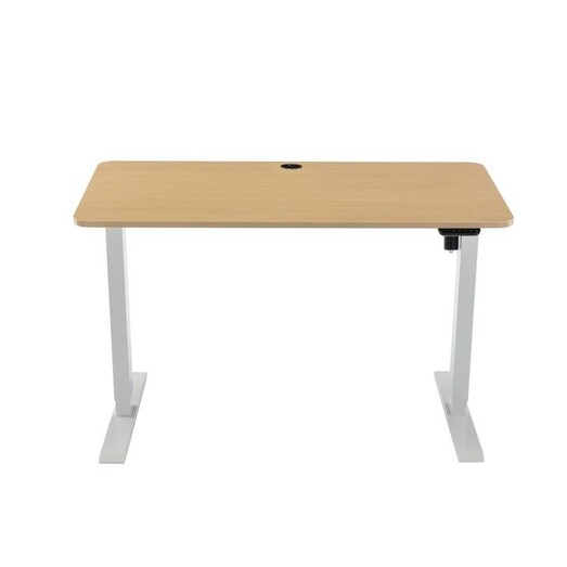 Picture of Fenge Height-Adjustable Electric Sit And Stand Office Study Comptuer Desk 120cm W/ USB Charging Port Natural