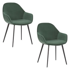 Picture of Fido Set of 2 Velvet Dining Chairs Assorted casabona