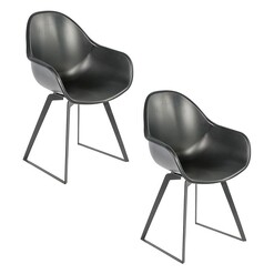 Picture of Foster Set of 2 Dining Chairs Metal Black Living by Design
