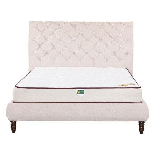 Picture of Grace Upholstered Bed Velvet Assorted Beaumont & Braddock