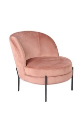 Picture of Irina Velvet Fabric Occasional Accent Lounge Chair - Black Metal Legs - Blush