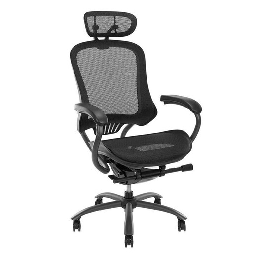 Picture of Lopez Adjustable Mesh Ergonomic Office Executive Computer Chair W/ Headrest - Black