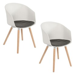 Picture of Moon Dining Chair (Set of 2) Plastic Assorted Living by Design