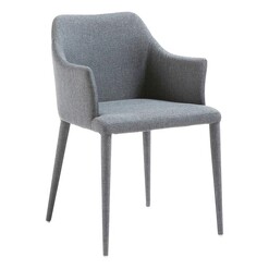 Picture of Ramiro Dining Chair in Light Grey by Vida & Co.