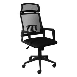 Picture of Raver Mesh Office Chair Nylon Black Levede