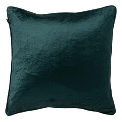 Picture of Roma Velvet Cushion Size 45 x 45cm in Alpine by Maison by Rapee