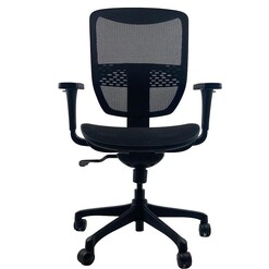 Picture of SKYE Mesh Executive Manager Office Boardroom Chair - Black