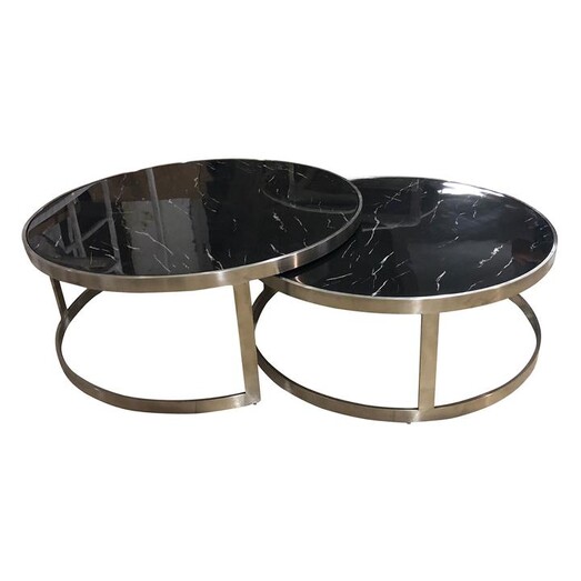 Picture of Sterling Coffee Table (Set of 2) Metal Assorted Future Classics Furniture
