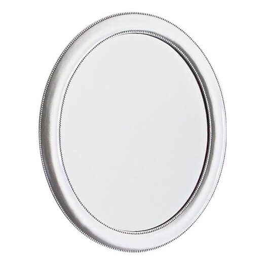 Picture of Tin 45cm Oval Mirror Polyresin Silver Mes Homewares