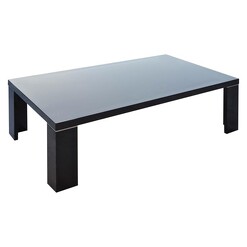 Picture of Yumi Black Coffee Table MDF Citron Life