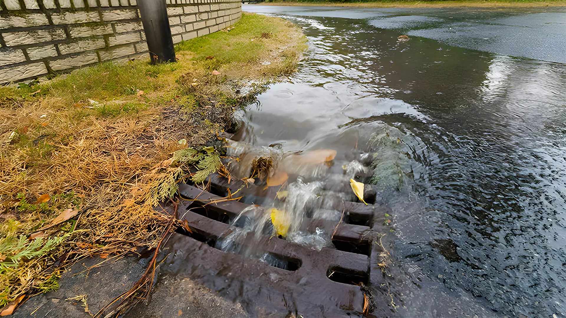 How to Get Rid of Grease in Drains – Cleaning Grease from a Drain