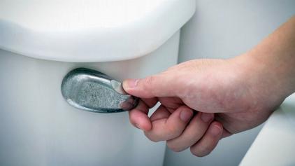 Won’ Toilet Flush?