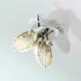 Rid Drain Flies