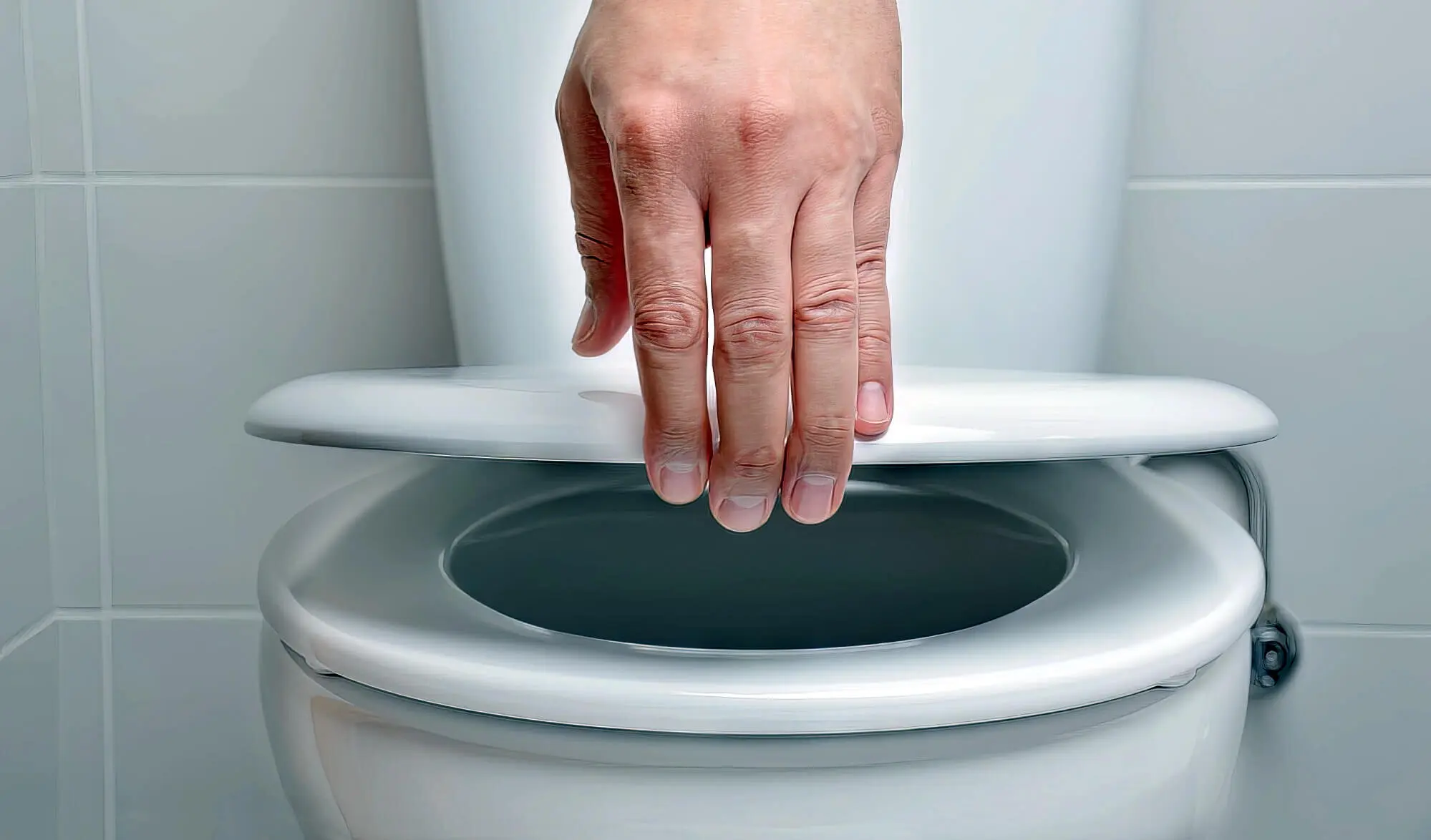 Lifting Toilet Seat Photo Lifting Toilet Seat Photo