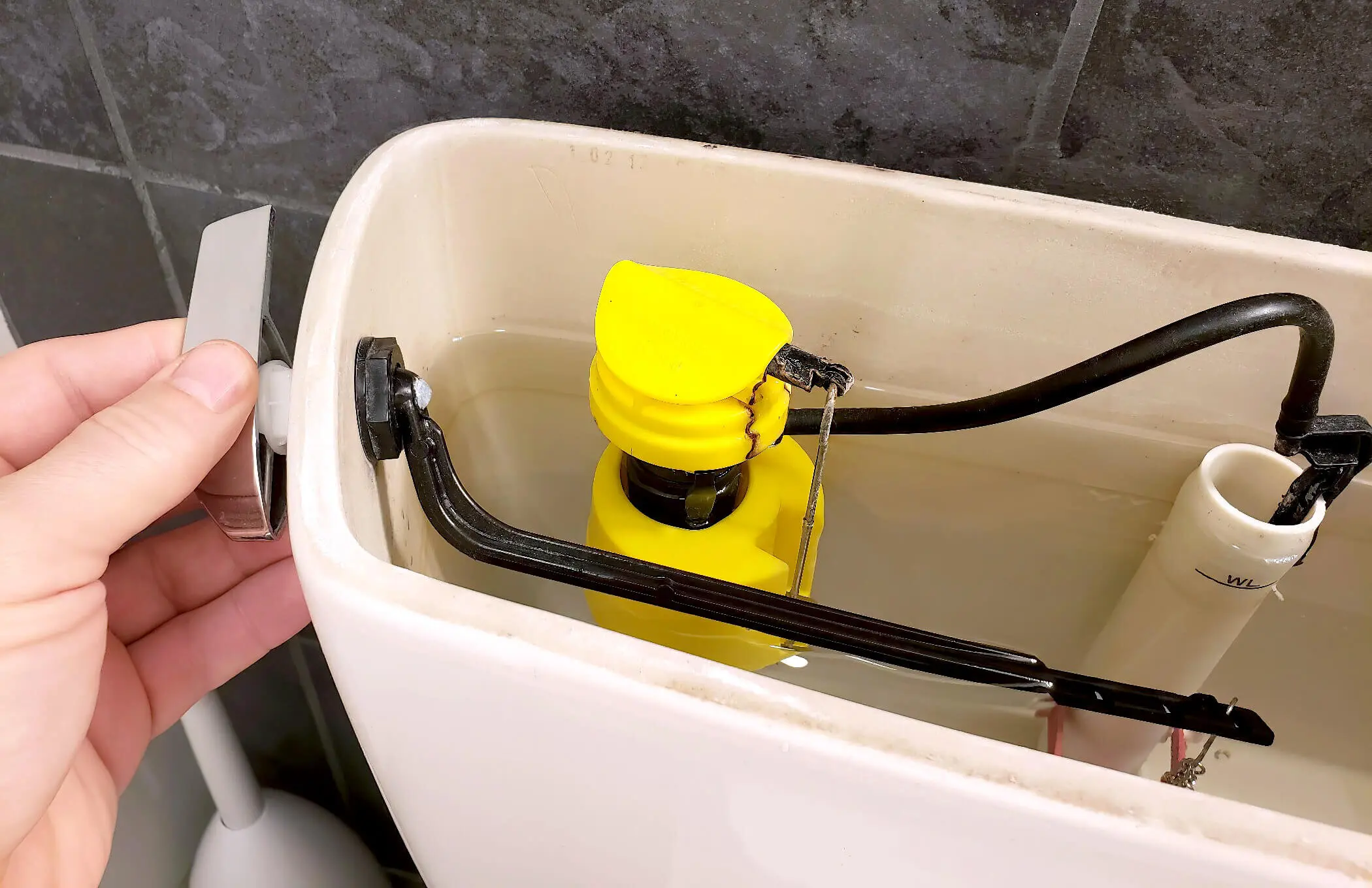 Photo Toilet Cistern