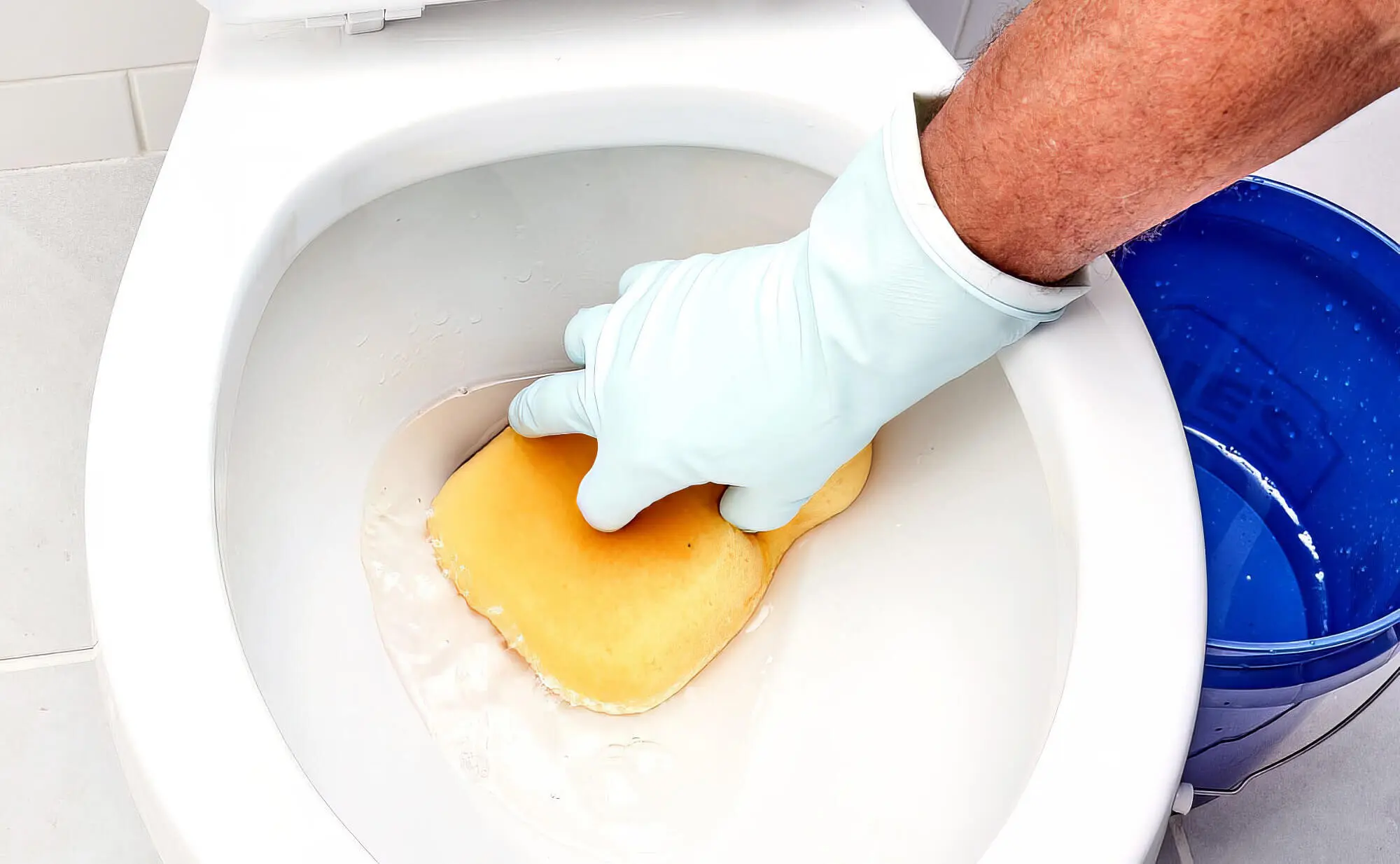 Diy Guide To Replacing Your Toilet ‐ Big Blue Plumbing