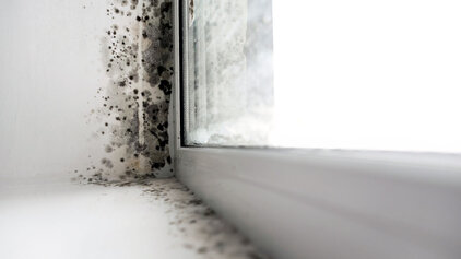 Remove & Prevent Bathroom Mould