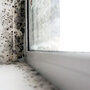 Remove & Prevent Bathroom Mould