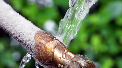 Burst Pipes