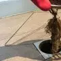 Blocked Shower Drains Prevention