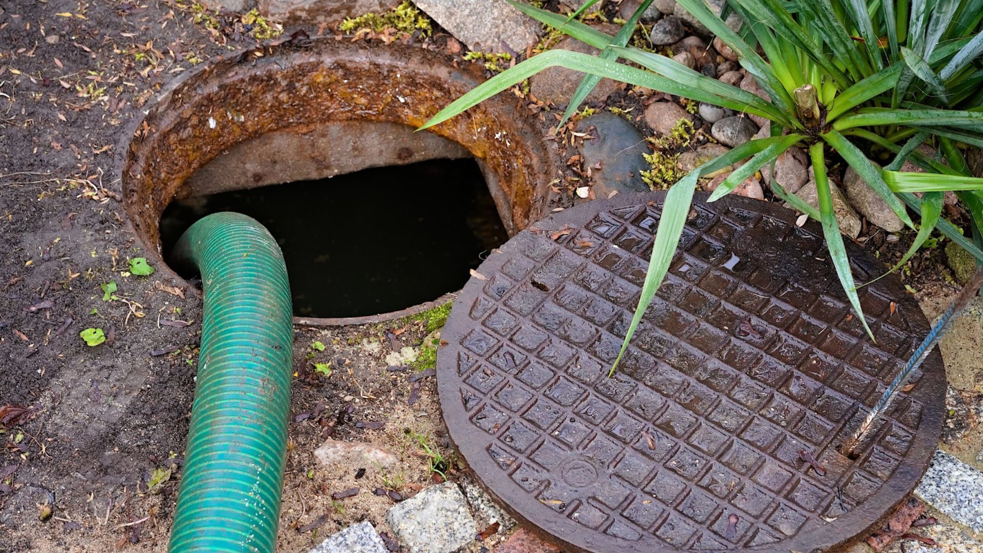 2025 03 Apartment Building Sewer Issues Apartment Building Sewer Issues