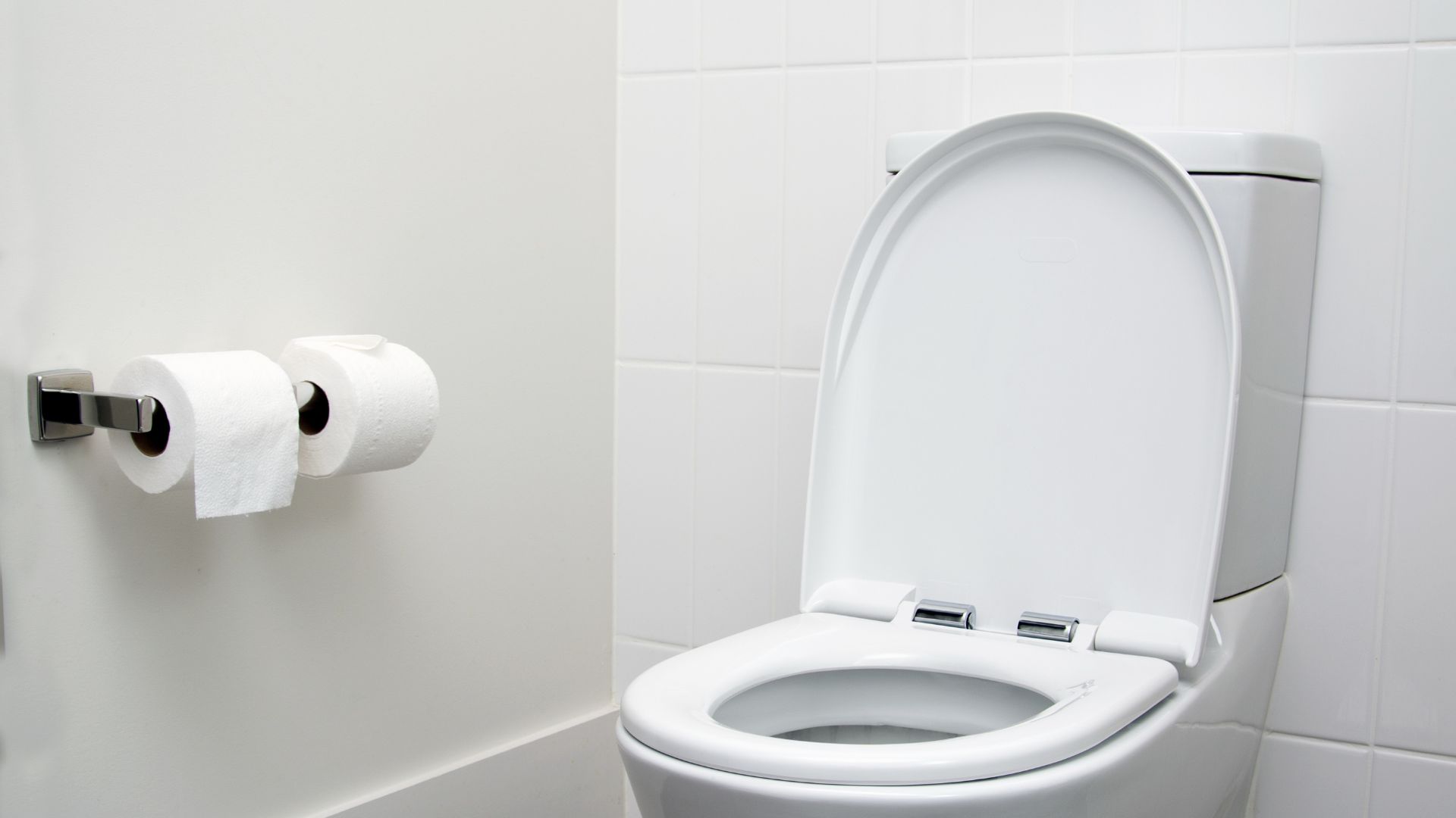 2025 03 Upgraded Toilet Suite Upgraded Toilet Suite