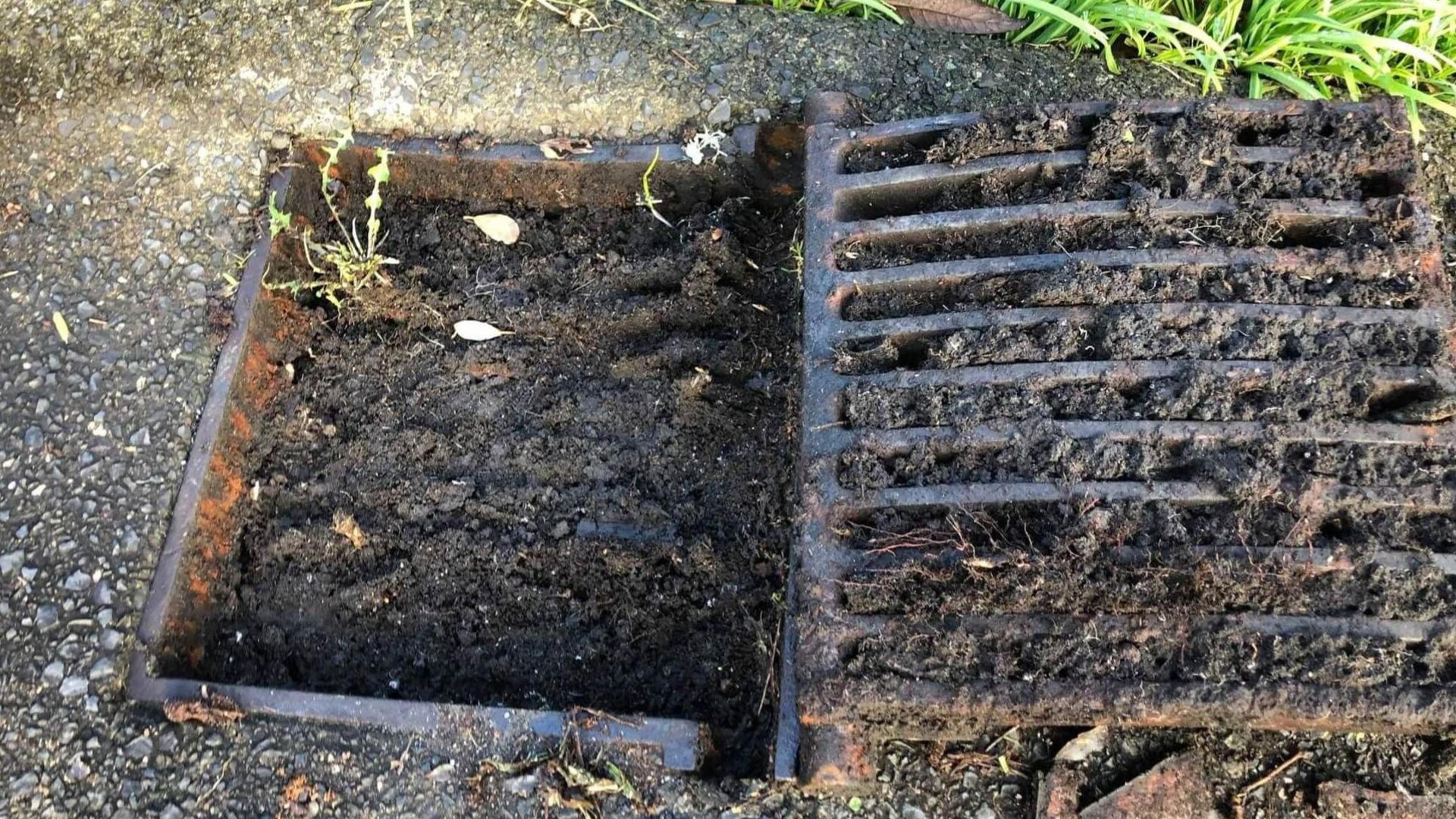 Dirt Clogging Stormwater Drain