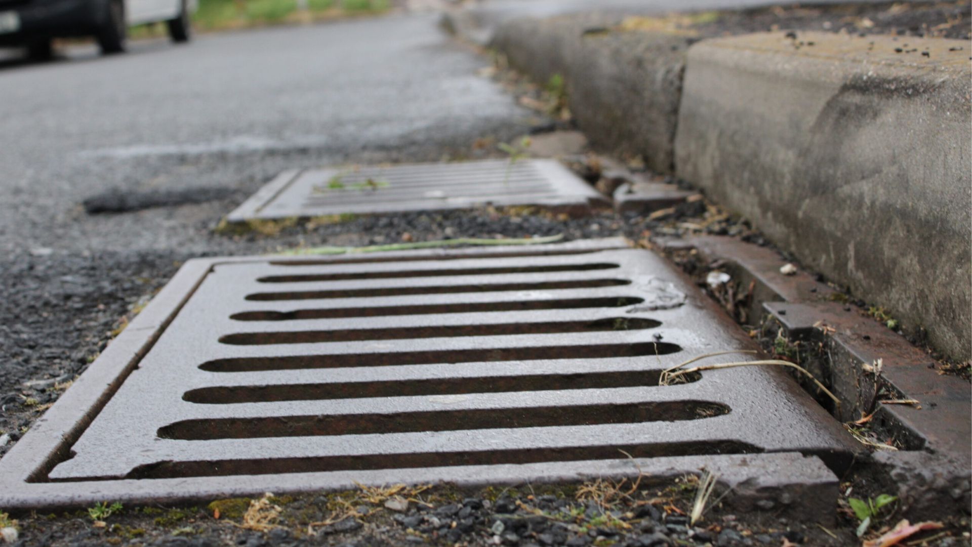 Stormwater Drain Clogged