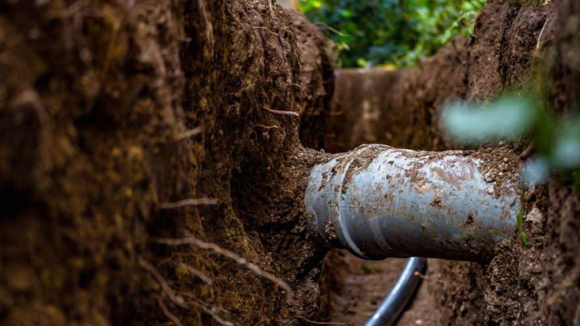 Stormwater Ground Blocked
