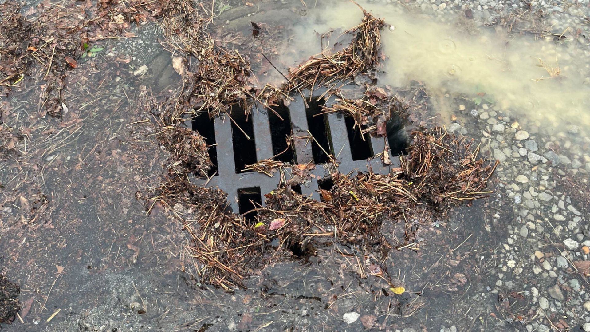 Flooding Blocked Stormwater Drain