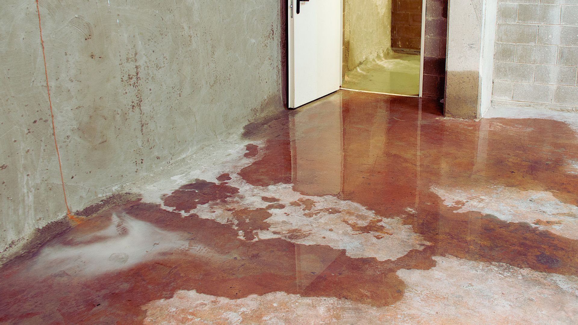 Basement Floor Water Backflow Damage Near Open Door Gutter Overflow Basement Floor Water Backflow Damage Open Door Gutter Overflow