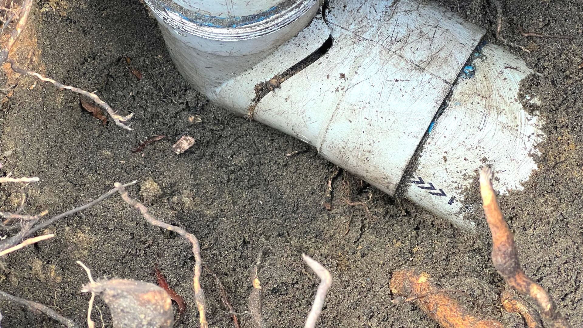 How To Identify Roots In A Drainpipe