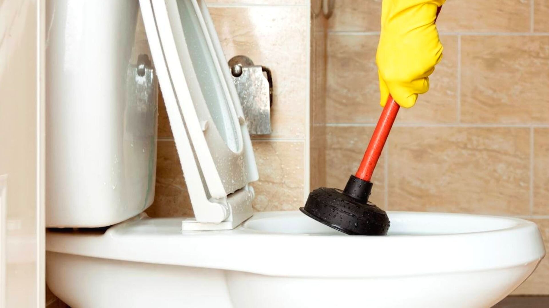 What To Do When Your Toilet Is Blocked & How To Fix It! ‐ Botanical  Plumbing Services