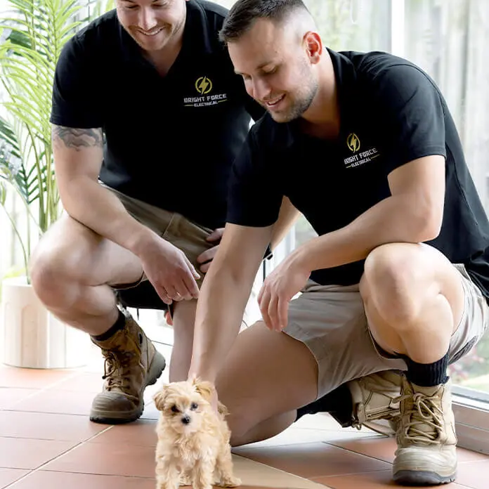 Bright Force Team Playing Customer Puppy