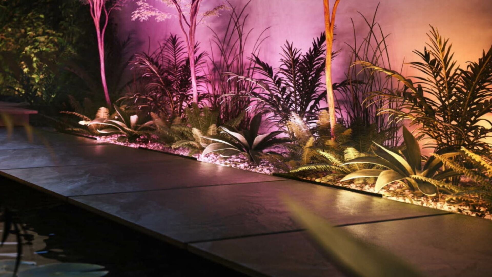 Hidden Traditional Lights Garden