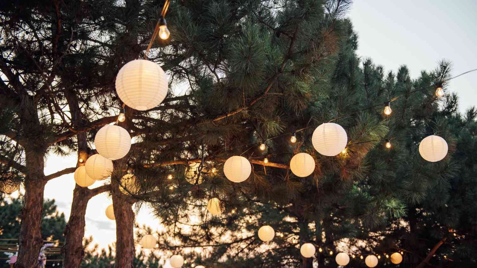 Outdoor Lighting String Lights Trees