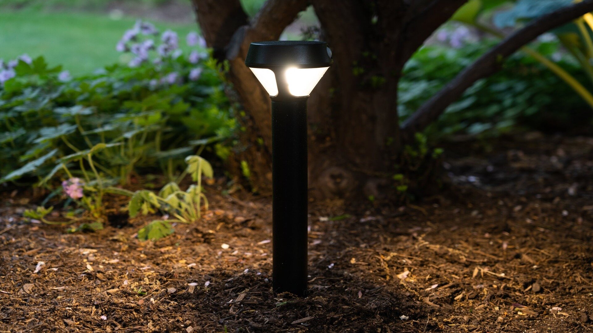 Smart Outdoor Lights