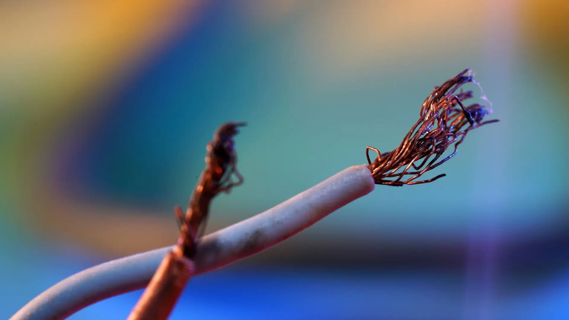 2024 03 Frayed Wires Blue Frayed Wires Blue
