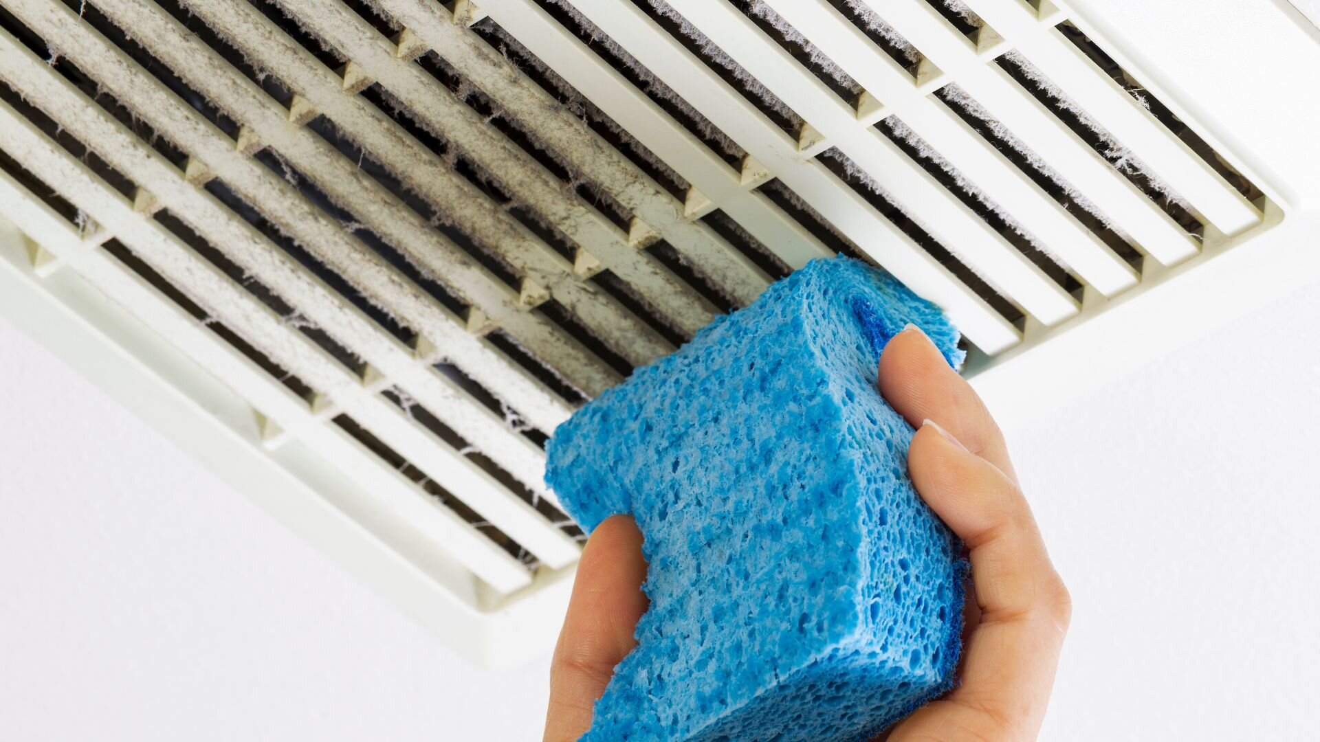 Sponge Clean Exhaust Fan